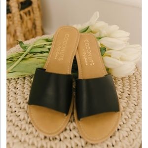 Coconuts by Matisse Cabana slides Black